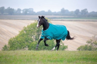 Shires Tempest Plus 200 Turnout Rug (RRP ÃÂ£79.99)